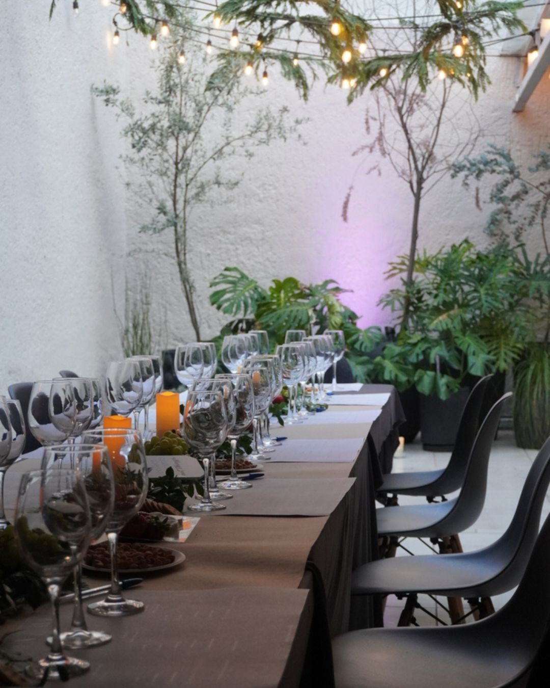 Terraza · Galería 9